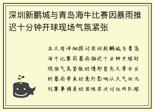 深圳新鹏城与青岛海牛比赛因暴雨推迟十分钟开球现场气氛紧张