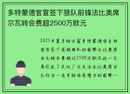 多特蒙德官宣签下狼队前锋法比奥席尔瓦转会费超2500万欧元
